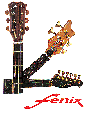 FENIX Gitarren